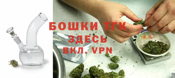 винт Инта