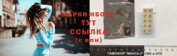 винт Инта