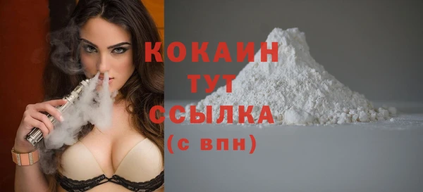винт Инта