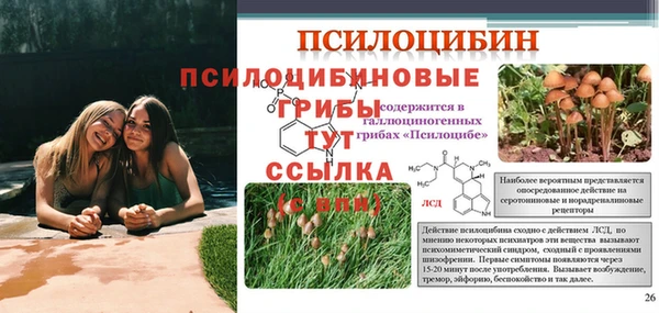 винт Инта
