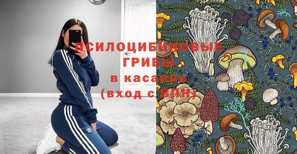 винт Инта