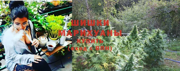молекула духа Иннополис