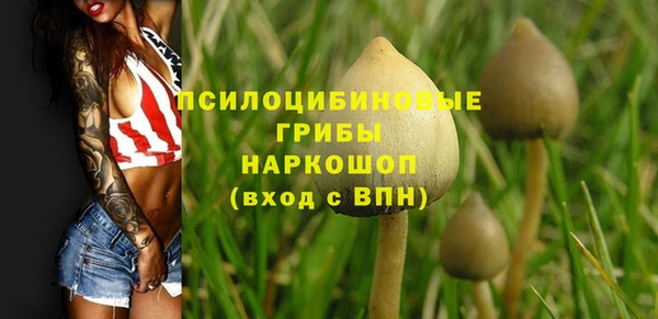 МДМА Инсар